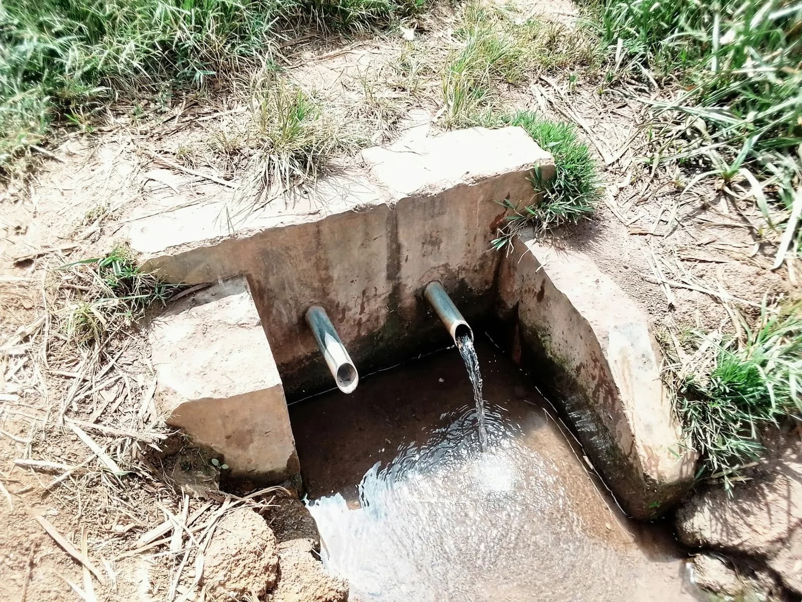 Drainage outfall pipes discharging into a ditch